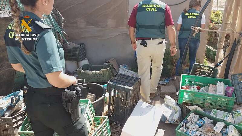 Tras obligar a la mujer a inmovilizar a su pareja con unas bridas, la la llevó hasta un invernadero donde la agredió sexualmente en varias ocasiones (Foto TA)